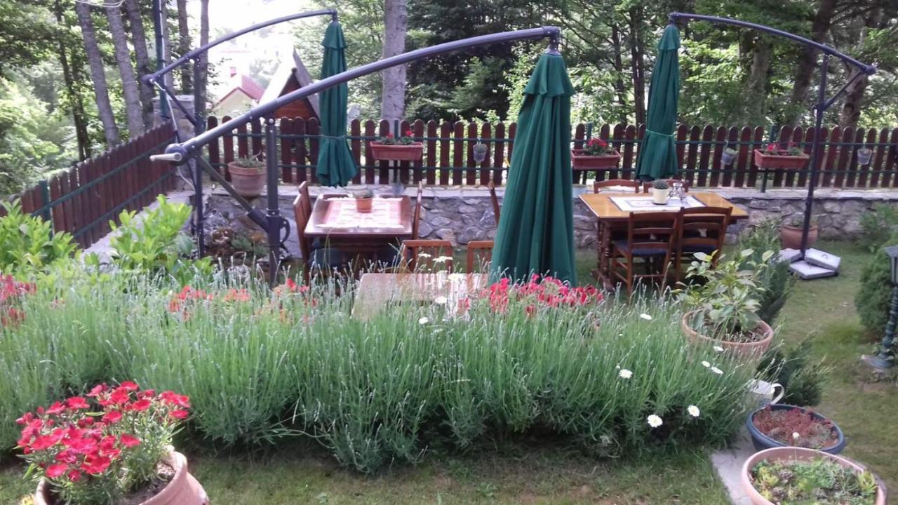Restaurant And Apartments - T'Ga Za Jug Lazaropole Buitenkant foto